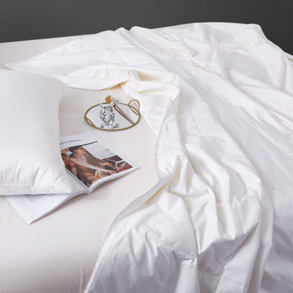 Spring & Fall 3A Washable Wild Silk Filled Comforter - Image 2