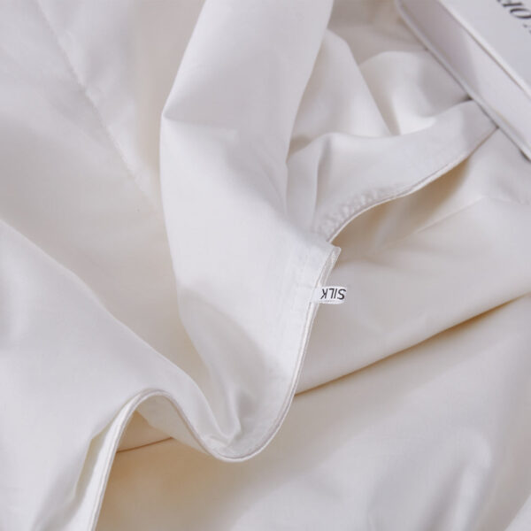 Spring & Fall 3A Washable Wild Silk Filled Comforter - Image 3