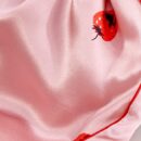 Strawberry Pattern Silk Blanket