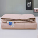 Spring & Fall 3A Washable Wild Silk Filled Comforter