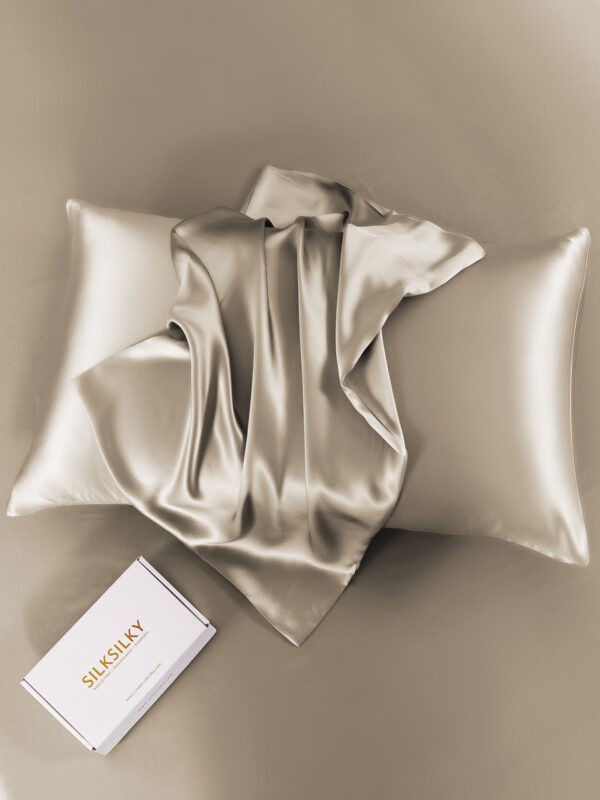19Momme 100% Mulberry Silk Pillowcase - Envelope Closure - Image 113