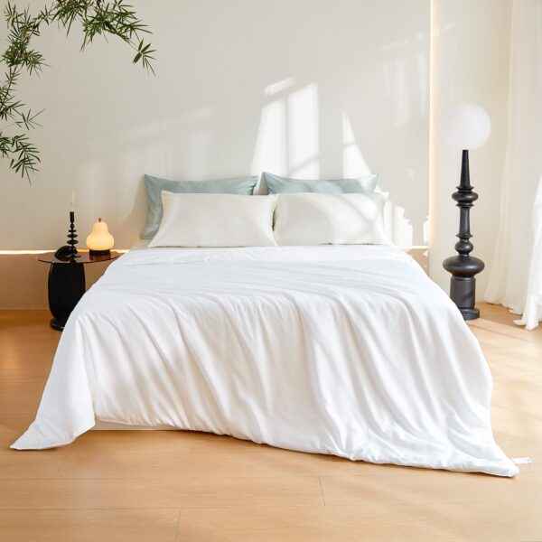 Spring & Fall 7A Grade Silk Filled Comforter - Image 4
