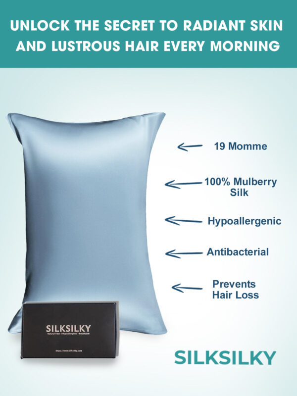 19Momme 100% Mulberry Silk Pillowcase - Envelope Closure - Image 141